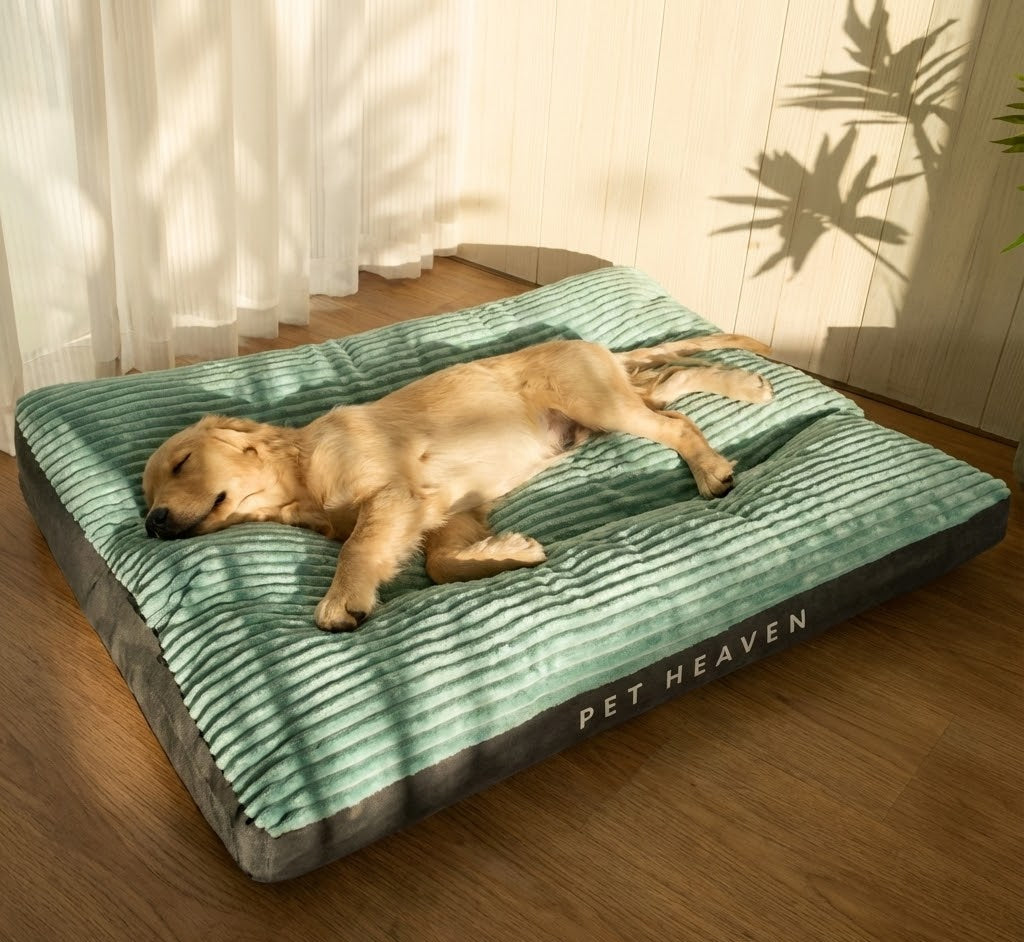 Panier Canapé " Le Lodge " - Velours Côtelé