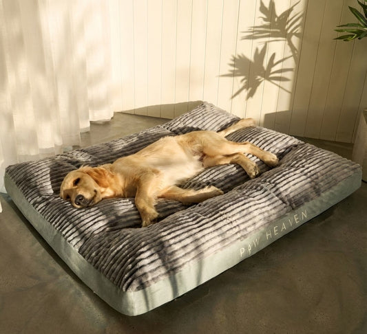 Panier Canapé Chien Velours Côtelé