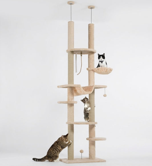 Arbre à chat du sol au plafond avec hauteur réglable (225-255 cm)