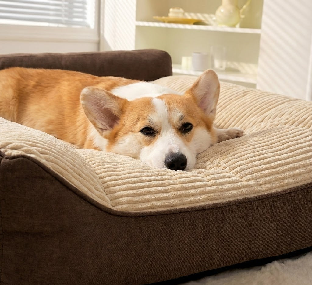 Panier Canapé pour Chien Velours Côtelé
